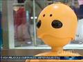 videos de Wakamaru on CW11's Totally Tamsen