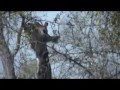 Kruger National Park - segment2
