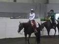 A Choice Pine Chex- 2003 Gelding SOLD