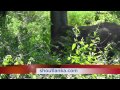 Beautiful Sri Lanka - Best Holiday In Sri Lanka