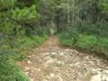 videos de 'Super Dave' Hill Climb