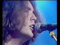 The Icicle Works - Hollow Horse (1985)