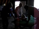 2008 Steele County 4-H Achievement Days-27