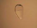 Chris Breaks the Wall