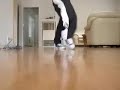 vi3tshi3t08 c-walk vs keelo