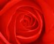 BİTEN BİR SEVGİNİN ŞİİRİ