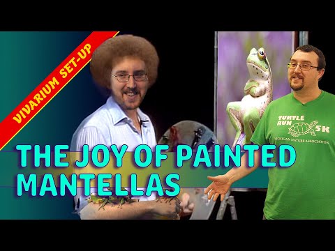 YouTube reptile video