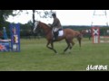 Showjumping-28/07/10