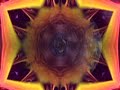 396 HZ - Liberation from Fear