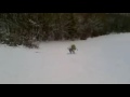 snowboarding and 4x4 in' Jan 2010 localy in east susssex/kent fun fun fun