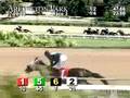 ARLINGTON PARK, 2008-07-09, Race 3