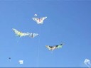 OLIMPIKITE sauze d\ OLIMPIKITE sauze d\