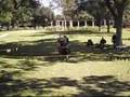 Victory Park Knights