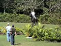 Quidam