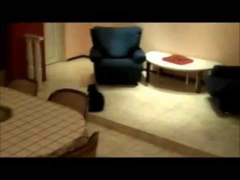 Video of Vere Inn