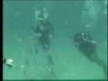 Scuba Diving