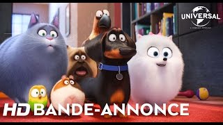 Bande Annonce