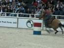 Washington International Horse Show
