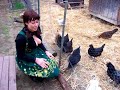 Davis California Sunshine COOP: Rated G for Gazongas!