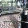 Doppleganger-fight-2