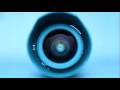 Vibe-Tribe-Absence-D