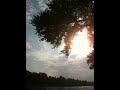 tree jump
