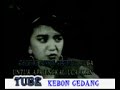 ciwaringin cirebon tarling lagu cirebonan