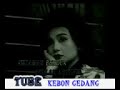 ciwaringin cirebon tarling lagu cirebonan