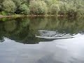 temporada-pesca-salmon-asturias-2007-ro-narcea.html