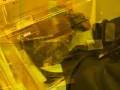 videos de Karl Suss RC8 Spin Coater - training video (Georgia Tech - Microelectronics Research Center)