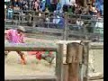 Toreada en Caridad, Valle prt 1.flv