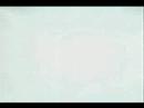 jessie hentai
