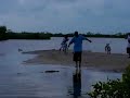 Feeding Crocodile