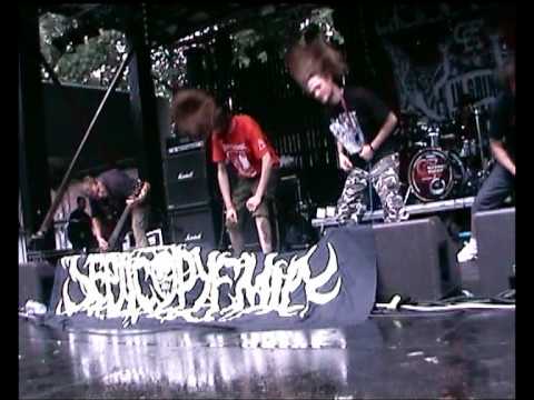 Youtube Video IJwc2p8XvSk