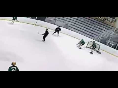 TJ Swinson scores game winner on a beautiful tip at the NAHL Predraft for Springfield Jr Blues