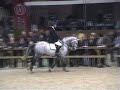 Winningmood vd Arenberg Winningmood vd Arenberg