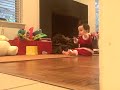 Video 7