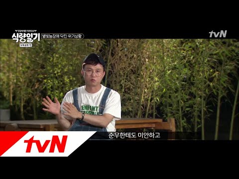 fooddiary 평화로운 농장에서 일어난 전대미문의 사건! 180704 EP.5