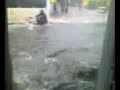 Tsunami na Vila Prudente