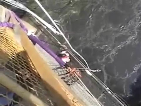 Victoria Falls Bunjee Jumping