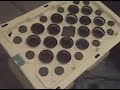CLONE / VEG BOX