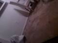 Joey vs chubbs 05-29-08