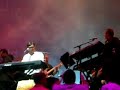 como o macaco gosta de banana