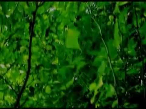 erica 「最後の恋」