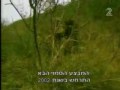 IDF-Anti-Guerrilla-U