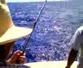 Poppo catches the big one