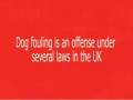 Its Not the Dogs Fault