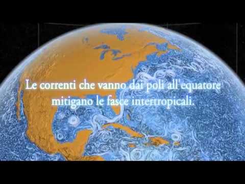 Immagine anteprima YouTube