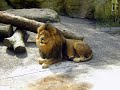 Zoo Wuppertal