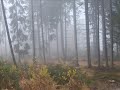 Gorce - mgliste, jesienne i pi?kne